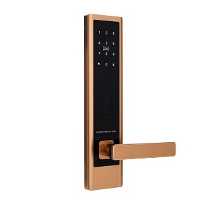 T6������